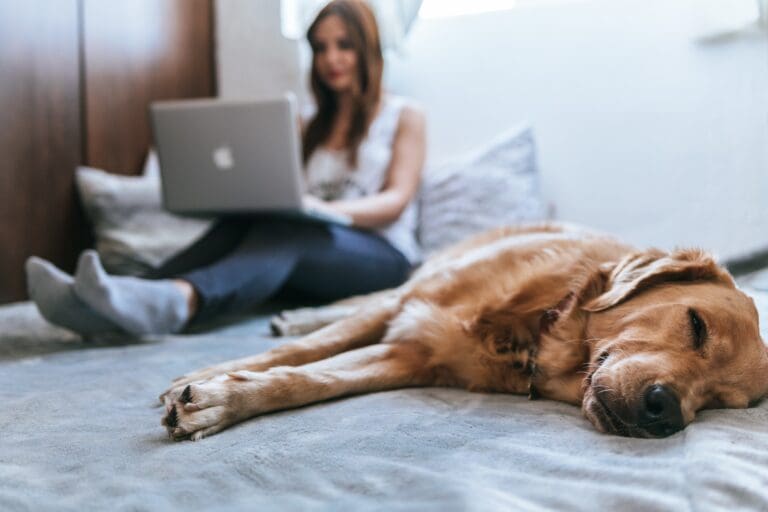 Remote employee with their dog